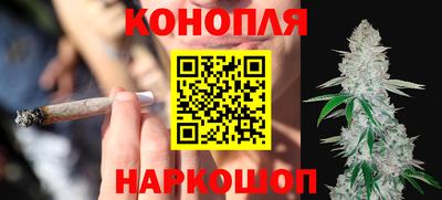 прущие крисы Гай