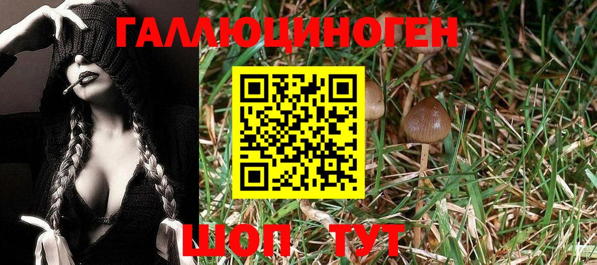 Рязань  Галлюциногенные грибы GOLDEN TEACHER  Вход с VPN 
